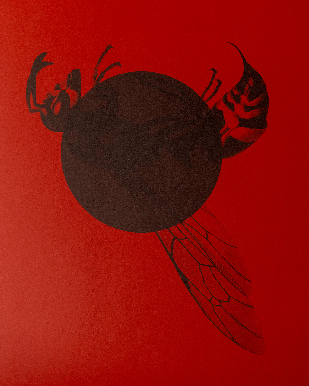 KAMAAL WILLIAMS - STINGS LP - RED
