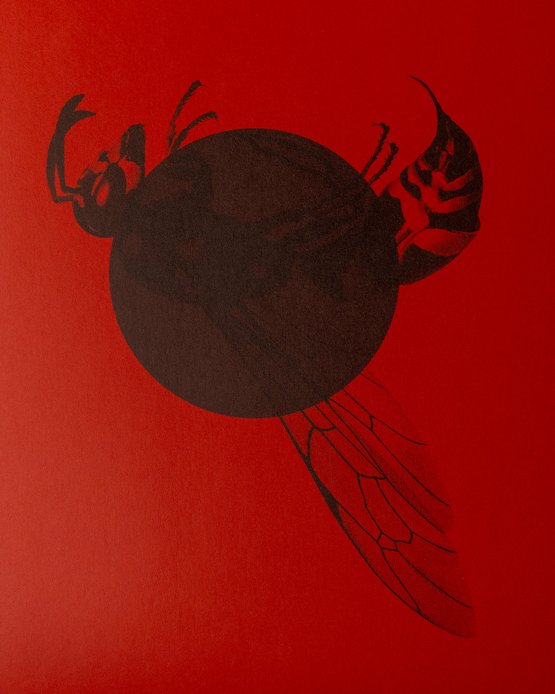 KAMAAL WILLIAMS - STINGS LP - RED