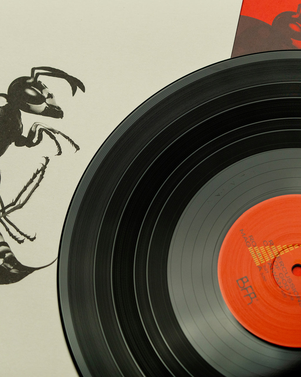 KAMAAL WILLIAMS - STINGS LP - RED