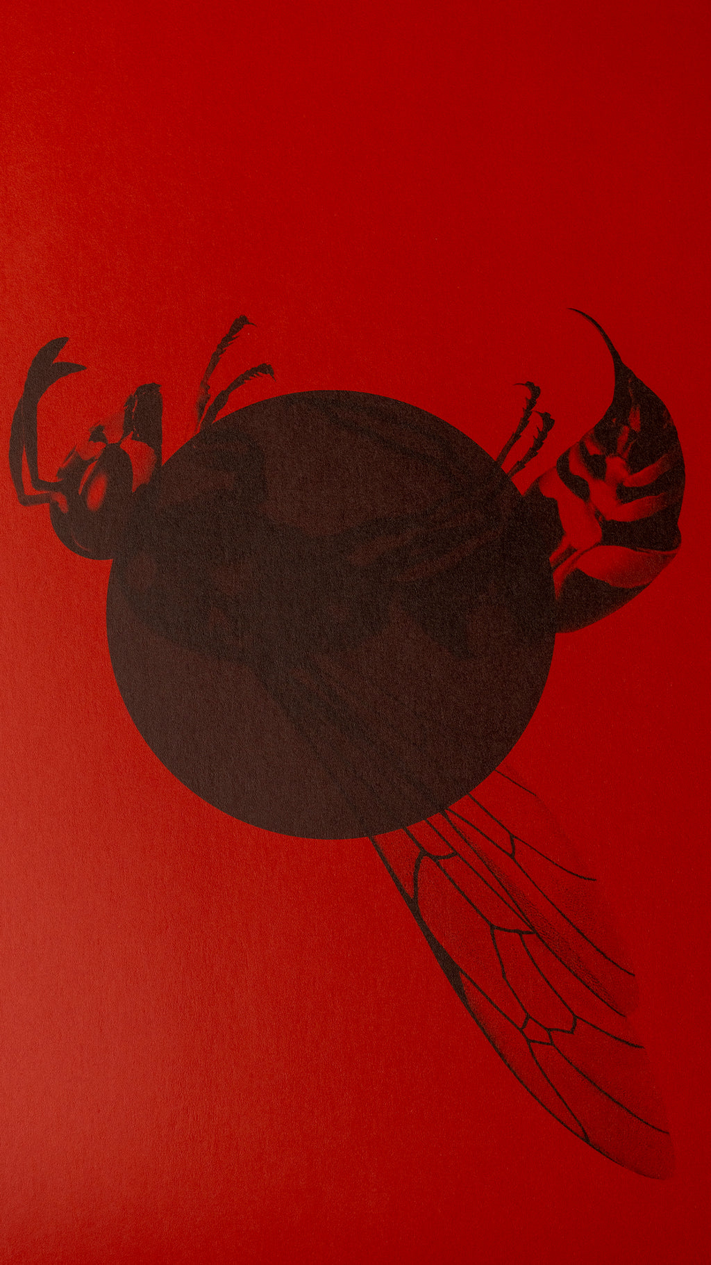 KAMAAL WILLIAMS - STINGS LP - RED
