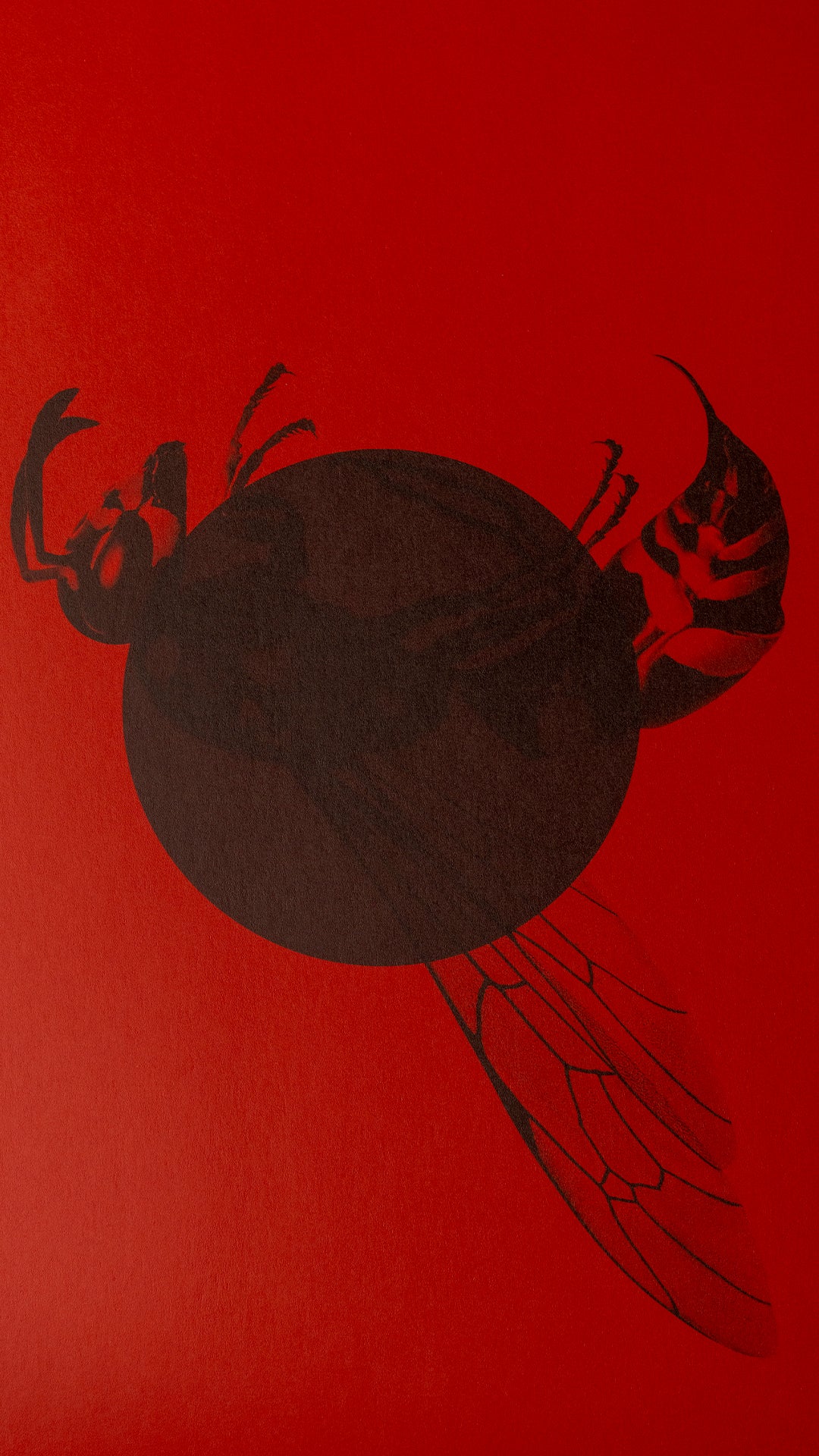 KAMAAL WILLIAMS - STINGS LP - RED