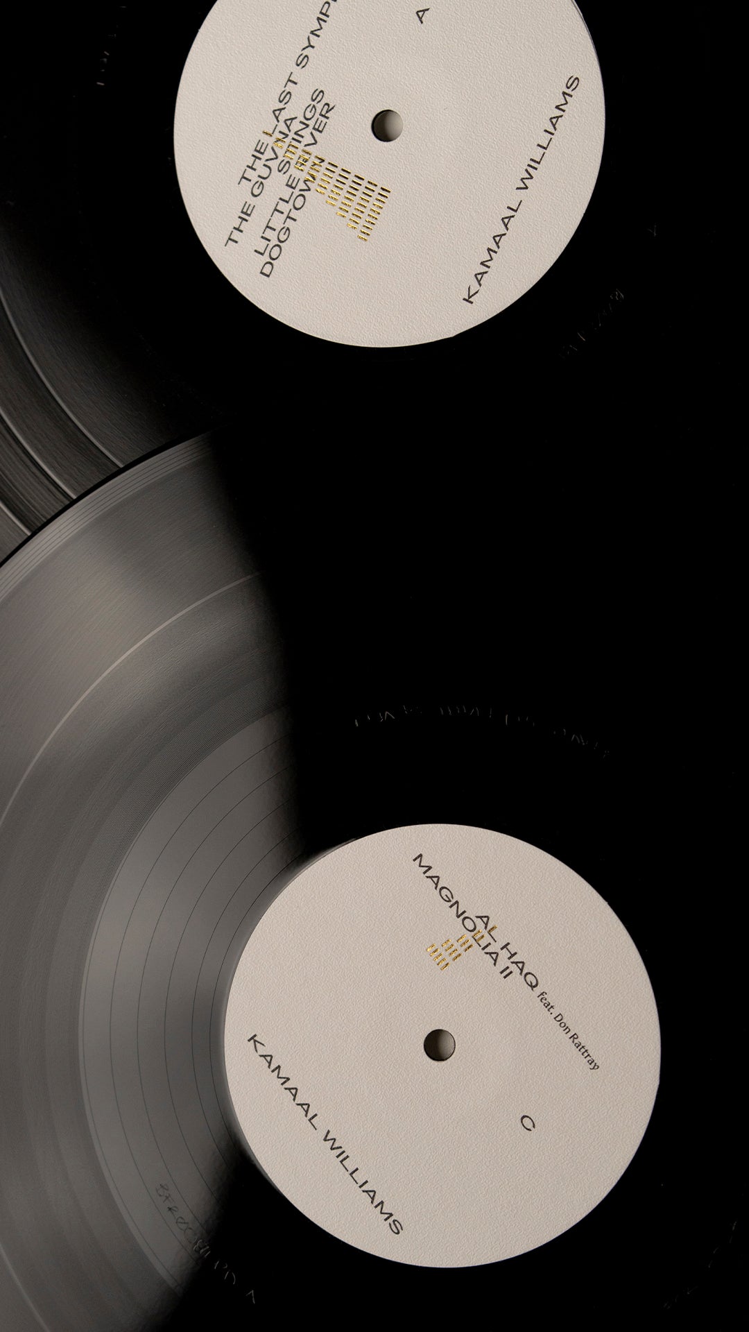 STINGS DELUXE - 2 x LP - GOLD EMBOSSED SPECIAL EDITION